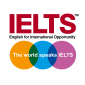 test-of-english-as-a-foreign-language-toefl-international-english-language-testing-system-writing-examination-ielts-book-1e4ebaed51f0ae8714f5cb68574ac513